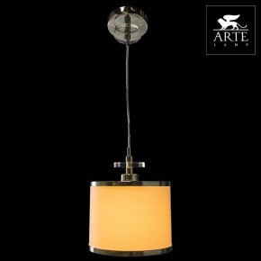 Подвесной светильник Arte Lamp Furore A3990SP-1CC в Копейске - kopejsk.mebel24.online | фото 3