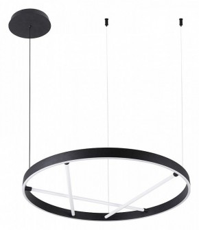 Подвесной светильник Arte Lamp Ricco A1874SP-32BK в Копейске - kopejsk.mebel24.online | фото 2