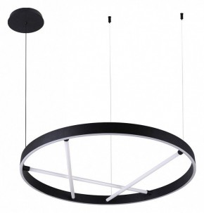 Подвесной светильник Arte Lamp Ricco A1874SP-45BK в Копейске - kopejsk.mebel24.online | фото 2
