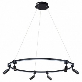 Подвесной светильник Arte Lamp Ring A2186SP-1BK в Копейске - kopejsk.mebel24.online | фото 2