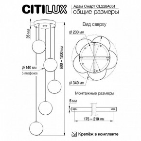Подвесной светильник Citilux Адам Смарт CL228A051 в Копейске - kopejsk.mebel24.online | фото 5