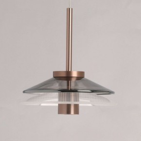 Подвесной светильник DeMarkt Ауксис 12 722013303 в Копейске - kopejsk.mebel24.online | фото 6