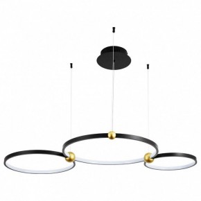 Подвесной светильник Divinare Amadeo 1123/04 SP-75 в Копейске - kopejsk.mebel24.online | фото