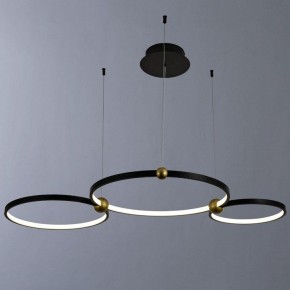 Подвесной светильник Divinare Amadeo 1123/04 SP-75 в Копейске - kopejsk.mebel24.online | фото 2