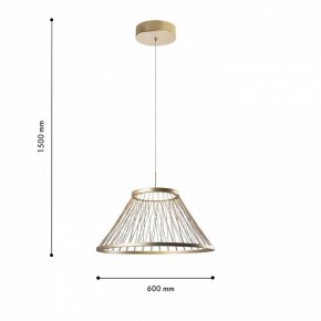 Подвесной светильник Favourite Fibra 4634-6P в Копейске - kopejsk.mebel24.online | фото 4