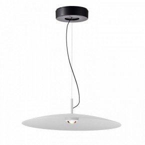Подвесной светильник Favourite Lars 4410-1P в Копейске - kopejsk.mebel24.online | фото 2