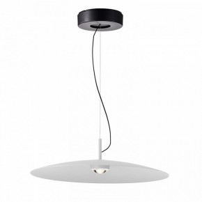 Подвесной светильник Favourite Lars 4410-2P в Копейске - kopejsk.mebel24.online | фото 2