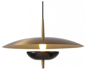 Подвесной светильник Favourite Marmo 4246-1P в Копейске - kopejsk.mebel24.online | фото