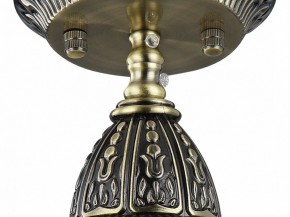 Подвесной светильник Favourite Sorento 1584-1P в Копейске - kopejsk.mebel24.online | фото 4