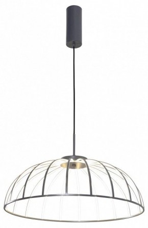 Подвесной светильник Favourite Vertex 4285-6P в Копейске - kopejsk.mebel24.online | фото 2