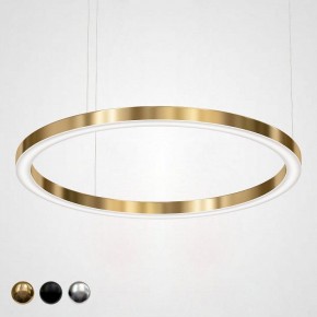 Подвесной светильник Imperiumloft Light Ring Horizontal 40.1454-120 в Копейске - kopejsk.mebel24.online | фото