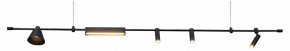Подвесной светильник Kink Light Ристо 07616-180L,19 в Копейске - kopejsk.mebel24.online | фото