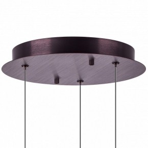 Подвесной светильник Lightstar Caramello 796139 в Копейске - kopejsk.mebel24.online | фото 13