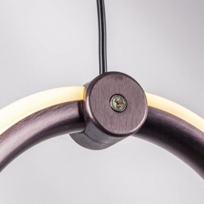 Подвесной светильник Lightstar Caramello 796139 в Копейске - kopejsk.mebel24.online | фото 5
