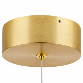 Подвесной светильник Lightstar Colore 805403 в Копейске - kopejsk.mebel24.online | фото 7