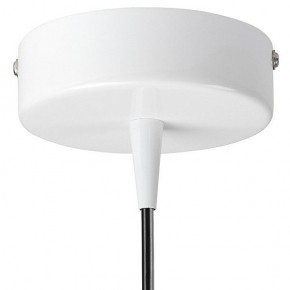 Подвесной светильник Lightstar Conicita 804110 в Копейске - kopejsk.mebel24.online | фото 6