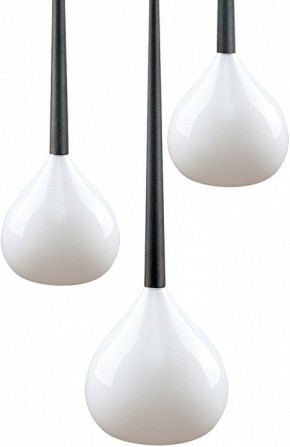Подвесной светильник Lightstar Forma 808230 в Копейске - kopejsk.mebel24.online | фото 3