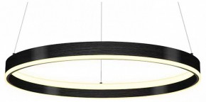 Подвесной светильник Lightstar Rotonda 736407 в Копейске - kopejsk.mebel24.online | фото