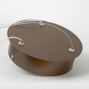 Подвесной светильник Lussole Dade LSP-7250 в Копейске - kopejsk.mebel24.online | фото 5