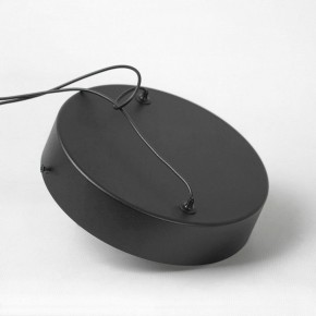 Подвесной светильник Lussole Mitchell LSP-7308 в Копейске - kopejsk.mebel24.online | фото 5