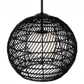 Подвесной светильник Maytoni CANE MOD204PL-01B1 в Копейске - kopejsk.mebel24.online | фото 2