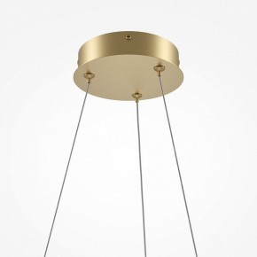 Подвесной светильник Maytoni Curve MOD241PL-L60BSK в Копейске - kopejsk.mebel24.online | фото 6