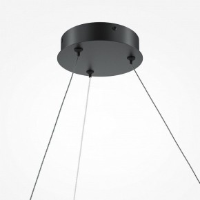 Подвесной светильник Maytoni Curve MOD242PL-L33BK в Копейске - kopejsk.mebel24.online | фото 5