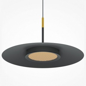 Подвесной светильник Maytoni Halo MOD041PL-L15B3K1 в Копейске - kopejsk.mebel24.online | фото
