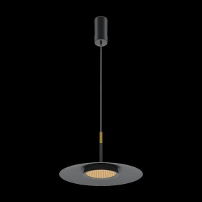 Подвесной светильник Maytoni Halo MOD041PL-L15B3K1 в Копейске - kopejsk.mebel24.online | фото 4