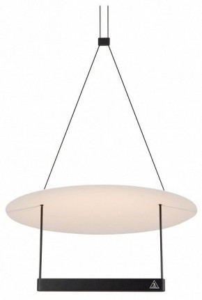 Подвесной светильник Maytoni Halo MOD280PL-L23B3K в Копейске - kopejsk.mebel24.online | фото