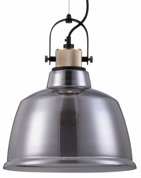 Подвесной светильник Maytoni Irving T163PL-01C в Копейске - kopejsk.mebel24.online | фото 2