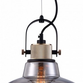 Подвесной светильник Maytoni Irving T163PL-01C в Копейске - kopejsk.mebel24.online | фото 9