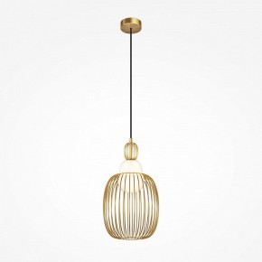 Подвесной светильник Maytoni Levitation MOD376PL-01G1 в Копейске - kopejsk.mebel24.online | фото 2