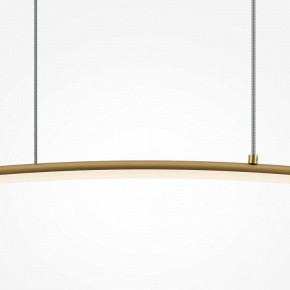 Подвесной светильник Maytoni Light Reflection MOD243PL-L18BSK в Копейске - kopejsk.mebel24.online | фото 4