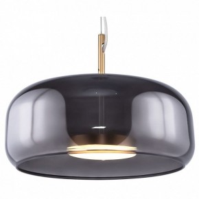 Подвесной светильник Maytoni Madmen MOD127PL-L6SG в Копейске - kopejsk.mebel24.online | фото