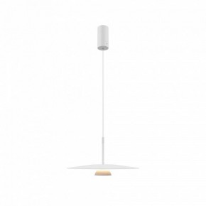 Подвесной светильник Maytoni Platte MOD352PL-L10W3K в Копейске - kopejsk.mebel24.online | фото 4