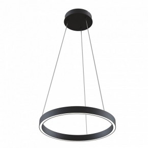 Подвесной светильник Maytoni Rim MOD058PL-L22BK в Копейске - kopejsk.mebel24.online | фото 2