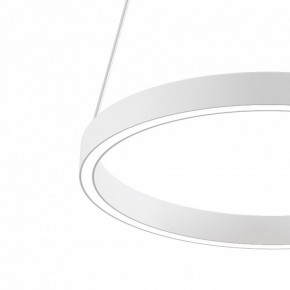 Подвесной светильник Maytoni Rim MOD058PL-L22WK в Копейске - kopejsk.mebel24.online | фото 4