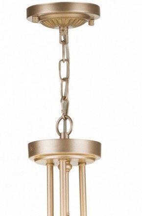 Подвесной светильник Maytoni Roma ARM006PL-06G в Копейске - kopejsk.mebel24.online | фото 5