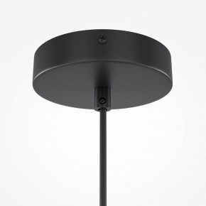 Подвесной светильник Maytoni Roots MOD195PL-01W в Копейске - kopejsk.mebel24.online | фото 3