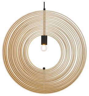 Подвесной светильник Maytoni Roots MOD197PL-01W2 в Копейске - kopejsk.mebel24.online | фото 2