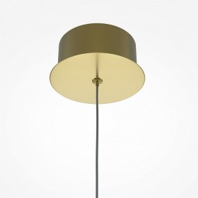 Подвесной светильник Maytoni Splash MOD282PL-L8G3K в Копейске - kopejsk.mebel24.online | фото 5