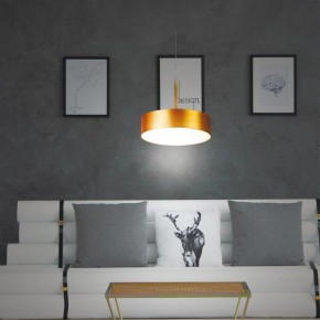 Подвесной светильник Novotech Prometa 358766 в Копейске - kopejsk.mebel24.online | фото 4