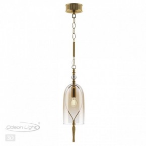 Подвесной светильник Odeon Light Bell 4892/1 в Копейске - kopejsk.mebel24.online | фото 5