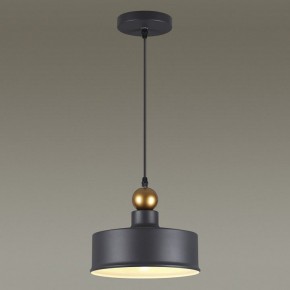 Подвесной светильник Odeon Light Bolli 4088/1 в Копейске - kopejsk.mebel24.online | фото 4