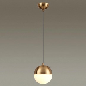Подвесной светильник Odeon Light Pinga 4960/1 в Копейске - kopejsk.mebel24.online | фото 2