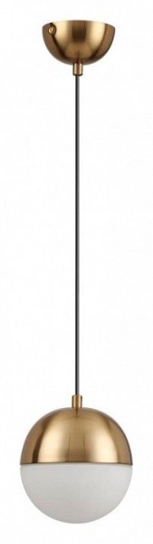 Подвесной светильник Odeon Light Pinga 4960/1 в Копейске - kopejsk.mebel24.online | фото 3