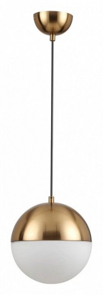 Подвесной светильник Odeon Light Pinga 4960/1A в Копейске - kopejsk.mebel24.online | фото 3