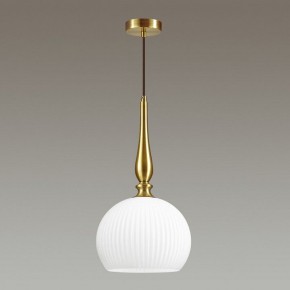 Подвесной светильник Odeon Light Runga 4766/1 в Копейске - kopejsk.mebel24.online | фото 4