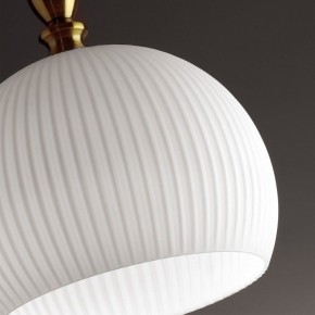 Подвесной светильник Odeon Light Runga 4766/1 в Копейске - kopejsk.mebel24.online | фото 8